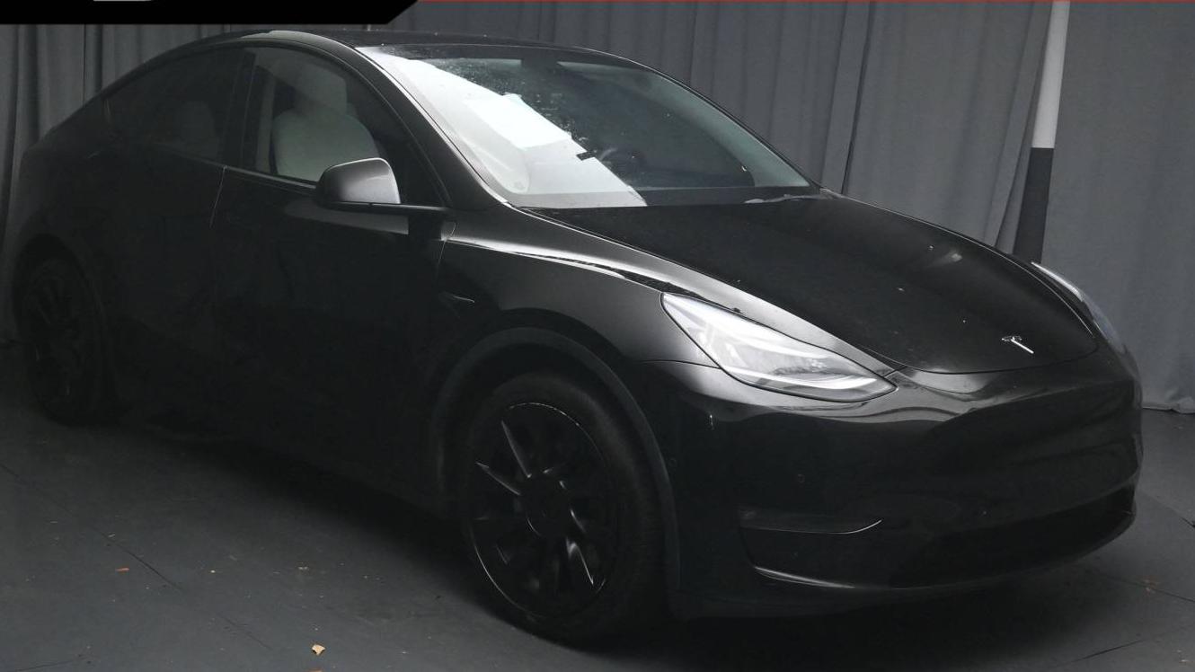 TESLA MODEL Y 2021 5YJYGDEE6MF120273 image